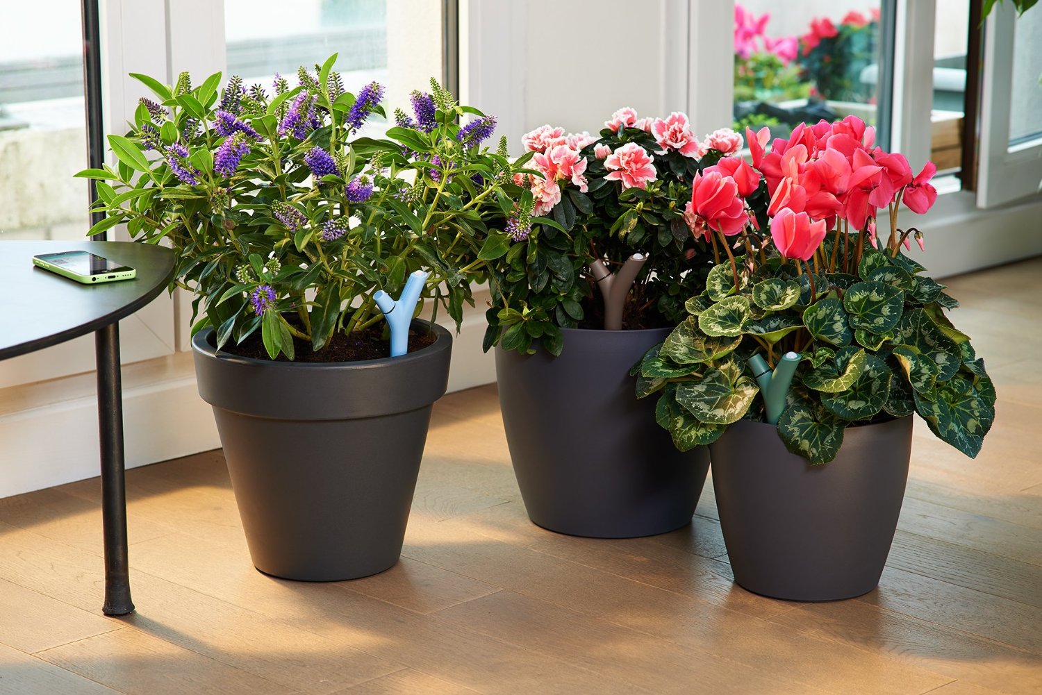 Parrot Flower Power - Wireless Plant Monitor for iOS and Android mobile devices