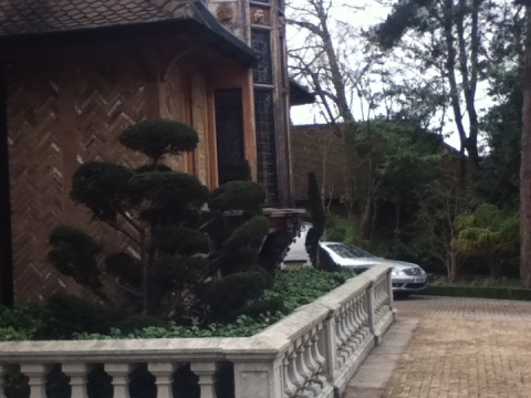 J & T Tree and Garden Services in Hertfordshire2