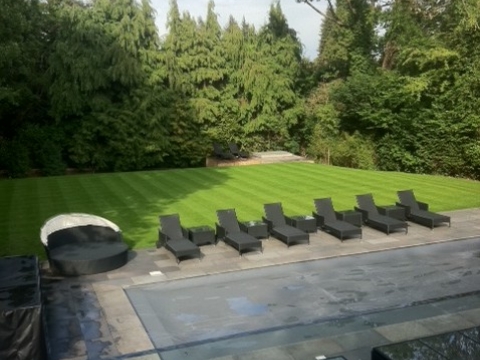 J & T Tree and Garden Services in Hertfordshire5