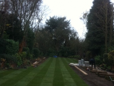 J & T Tree and Garden Services in Hertfordshire4