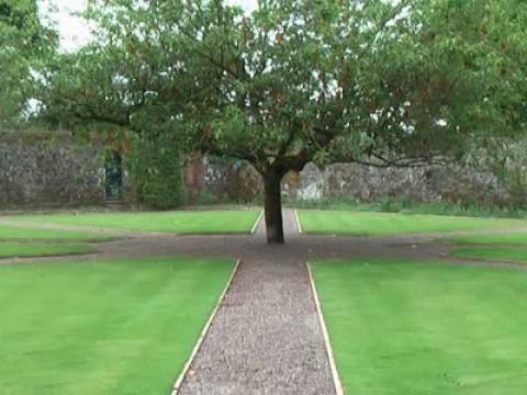 Thomson Landscapes 1