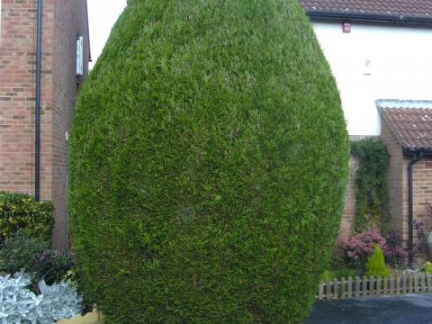 Hertfordshire Landscapes Tree And Garden Services2