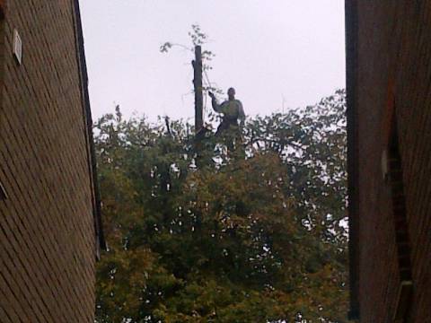 Hertfordshire Landscapes Tree And Garden Services1