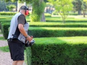 Herts Tree Care in Hertfordshire