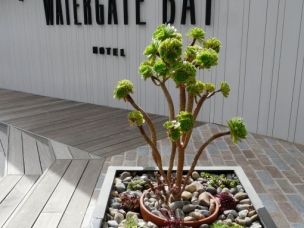 Cornish Garden Team in Cornwall