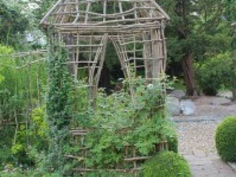 Iqon Gardening Services5