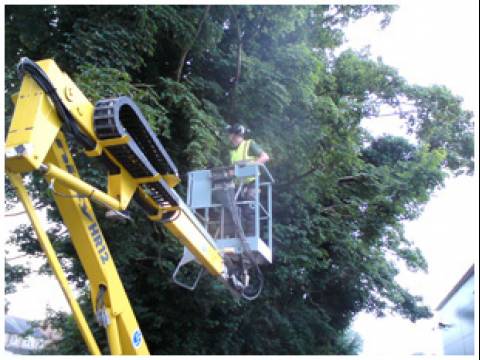 Tom's Garden Services3