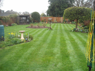 Lawn Master in Denbighshire