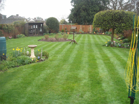 Lawn Master1