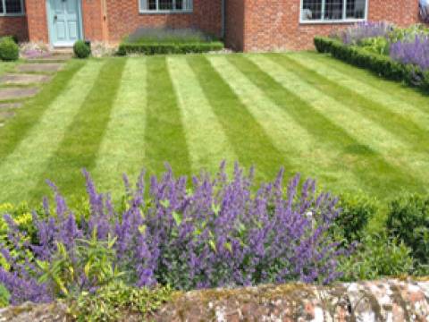 Lawn Master3