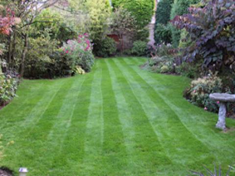 Lawn Master2