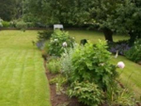 Marks Garden Services 3