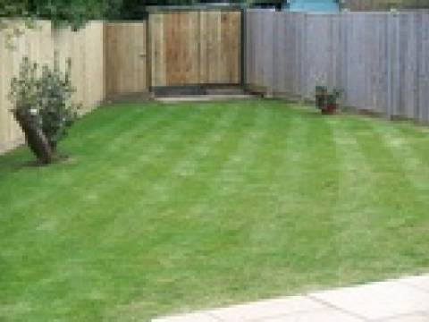 Marks Garden Services 2