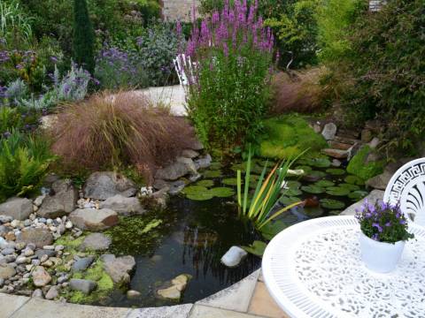 C.A.R. Gardens3
