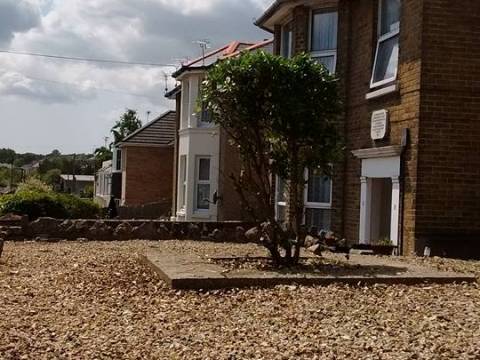 CREED Tree Surgery and Garden Maintenance 2
