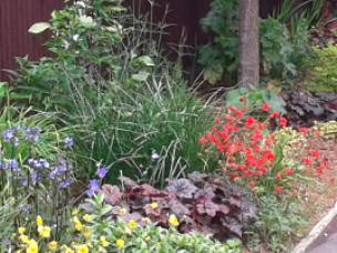 Kent Gardening & Tree Surgery in Kent