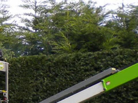 Kent Gardening & Tree Surgery2