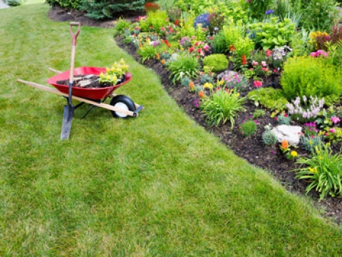 Julian Turner Garden Services 2
