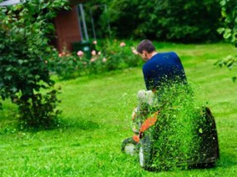 D.J. Garden Services 2