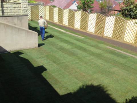 Hortus2