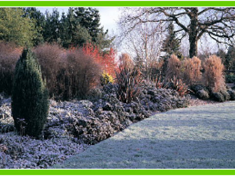 Garden Maintenance Leicester2