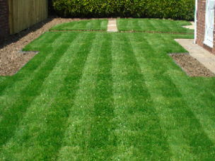 Garden Maintenance Leicester in Leicestershire