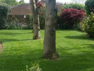 GARDENS  UNCOVERED in Leicestershire