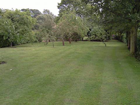 Oliver's Garden Services2