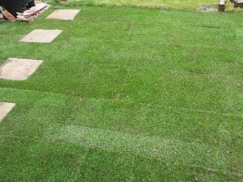 LJD garden service 2