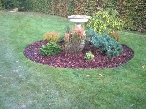 DT Garden Maintenance,3