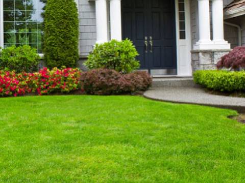 DT Garden Maintenance,1