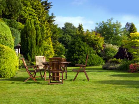 Tree, Hedge & Garden Services1