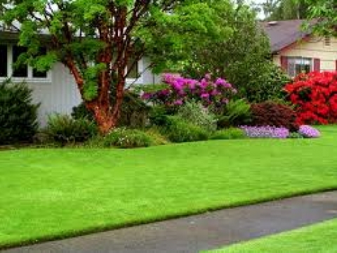 Bristol Garden Services3