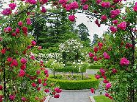Bristol Garden Services2