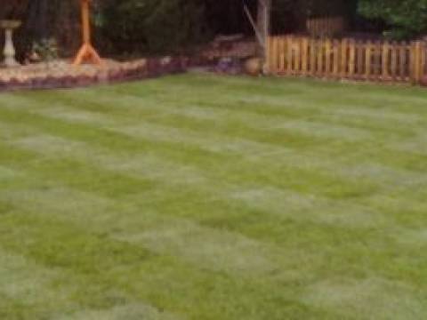 Four Seasons Gardening and Landscaping 3