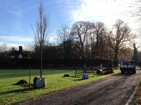 M&N Horticulture Garden Maintenance and Landscaping4