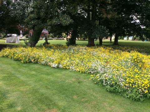 M&N Horticulture Garden Maintenance and Landscaping3