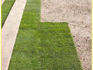 K P Dack Garden Services in Norfolk
