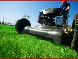 D&K Garden Services in Norfolk