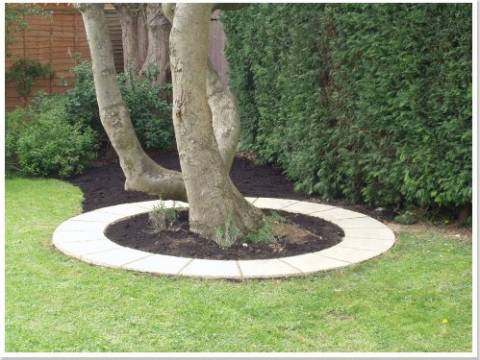  Bay Leaf Garden Services 3
