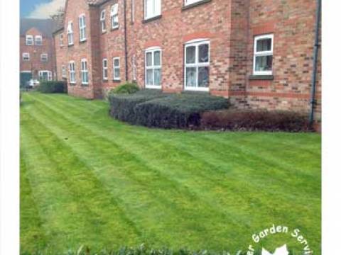 Acer Garden Services 3