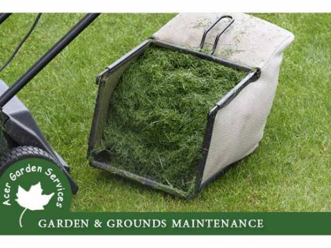 Acer Garden Services 2