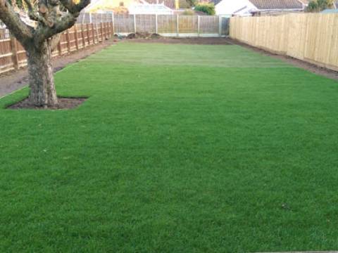 N&P Garden Services1