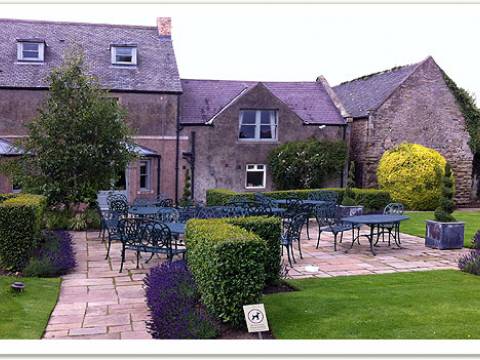Cheviot Gardening Services4