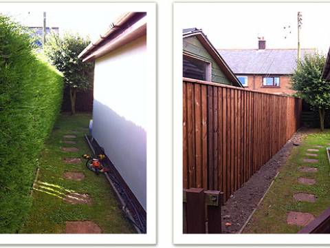 Cheviot Gardening Services2