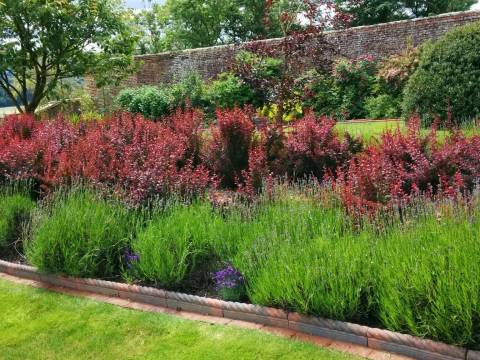 Michael Lowe Gardening Services3