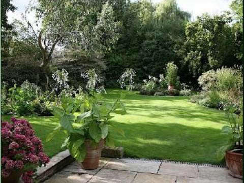 Greenleaf Garden Services2