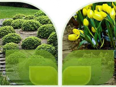 Cambridge Garden Service 1