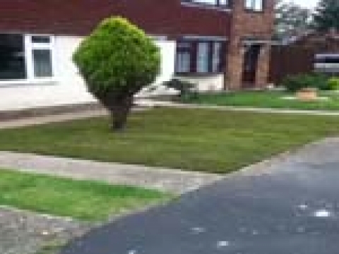 Cambridge Garden Service 4