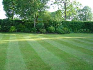 Elms Landscapes in Rutland